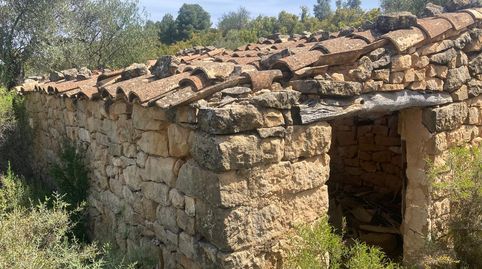 Finca rústica con maset en Calaceite, immagine 2