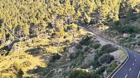 Photo 4 of Land for sale in Diseminado Carretera a Andratx, Estellencs, Illes Balears