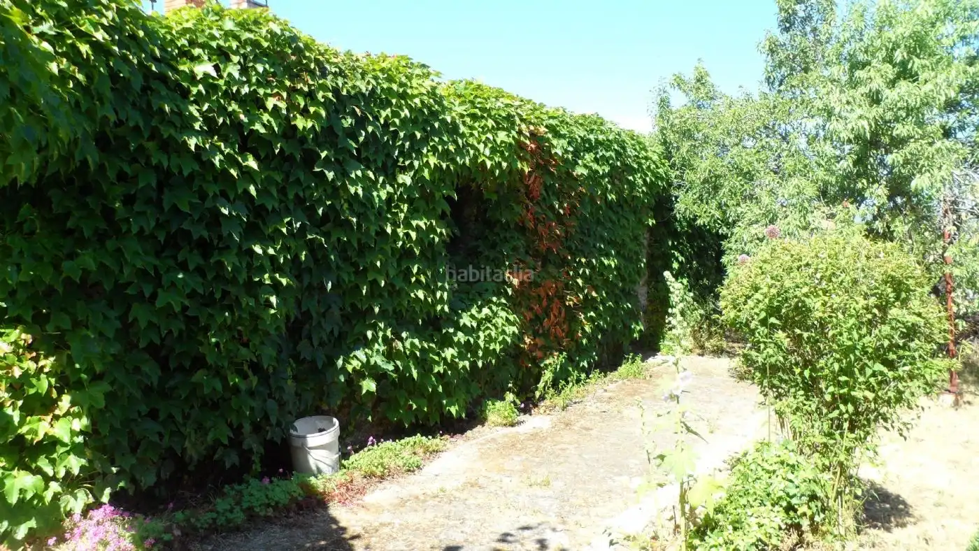 Chalet con jardín en venta en Calle Matadero 5, imagen 20