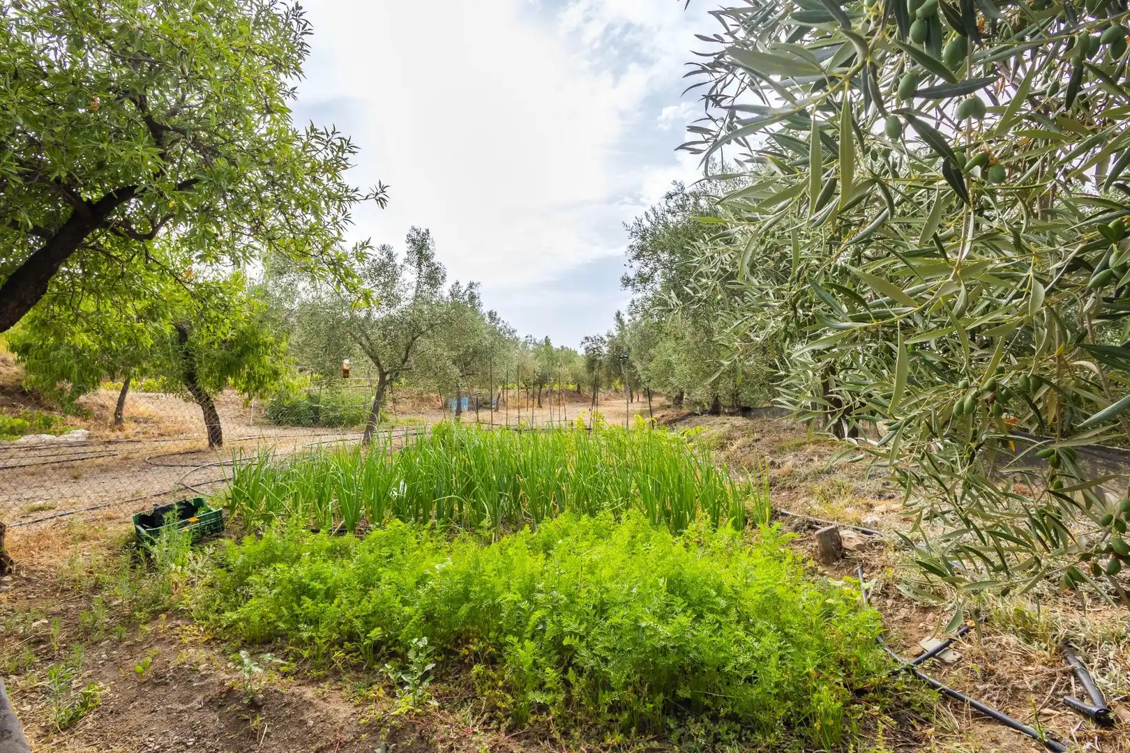 Country homes for sale in Abrucena  with Storage room