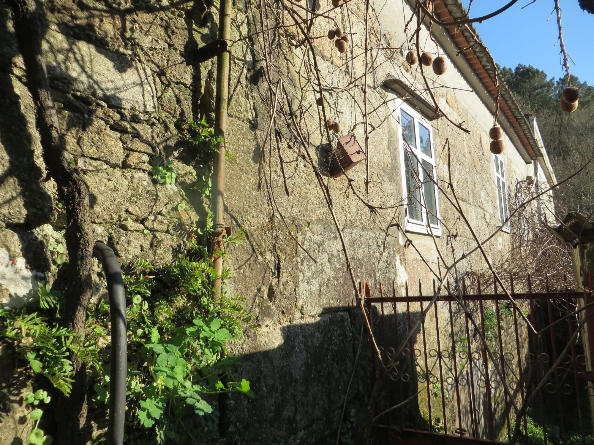 Vista exterior de Finca rústica en venda en Caldas de Reis