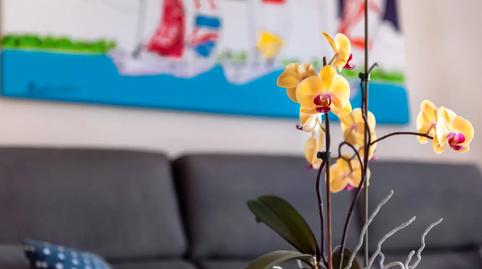 Photo 3 of Apartment to rent in Carrer José Segrelles, 5, Canet d'En Berenguer, Valencia