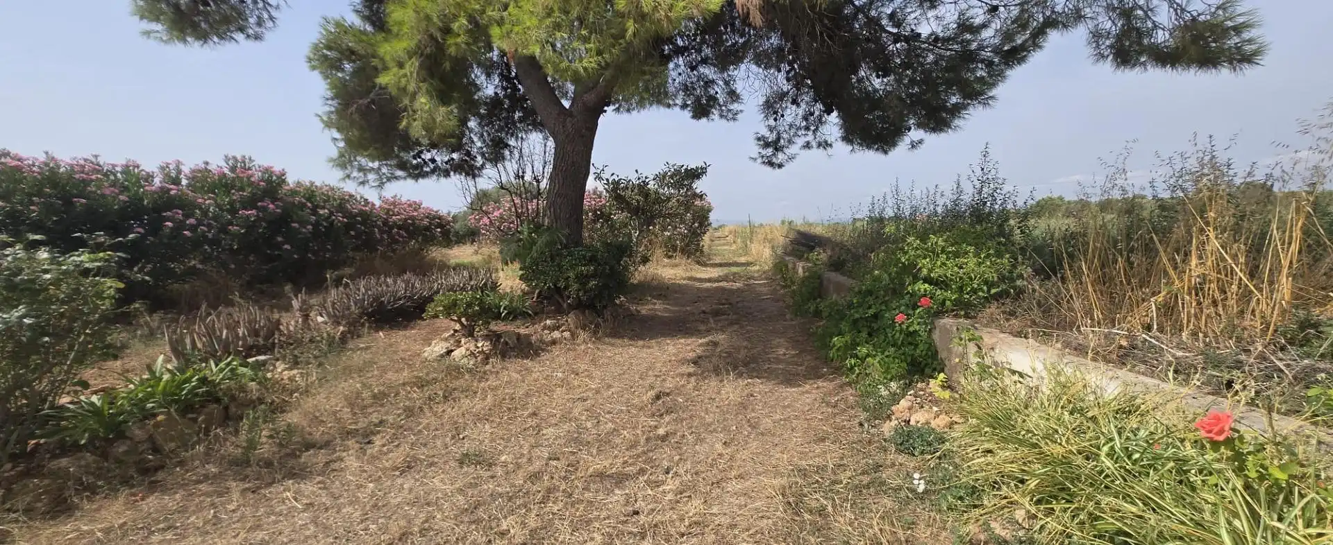 Finca rústica en venda en Vinaròs