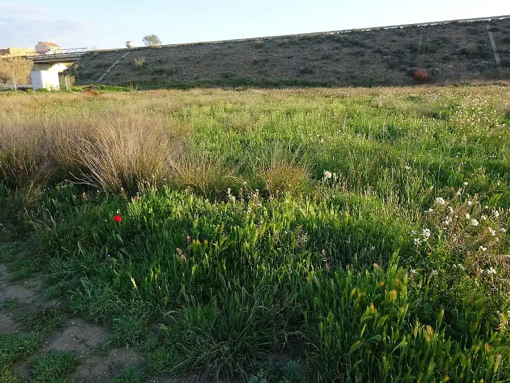 Terreni e lotti in vendita a Avenida Zaragoza, imagen 7