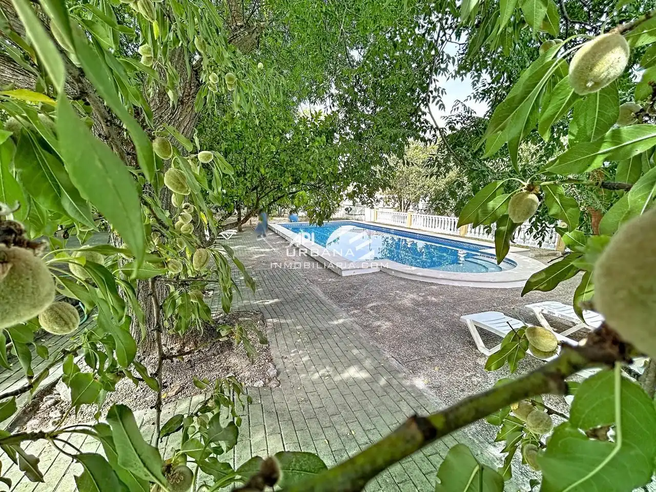 Piscina de Casa o chalet en venta en Lucena con Aire acondicionado, Jardín privado y Terraza