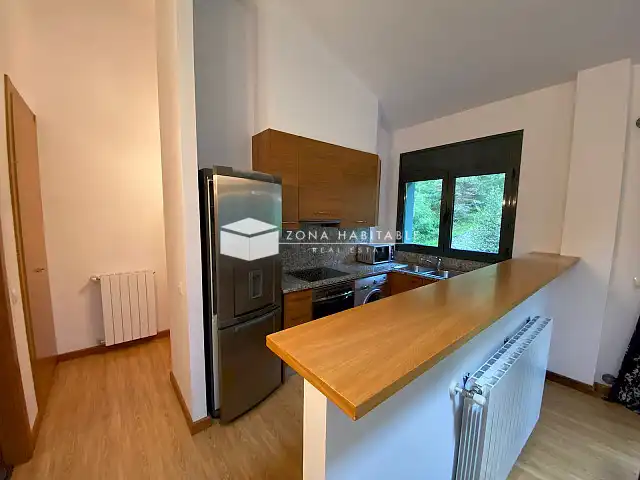 Penthouse mit Aufzug zur Miete in Canillo pueblo, imagen 2