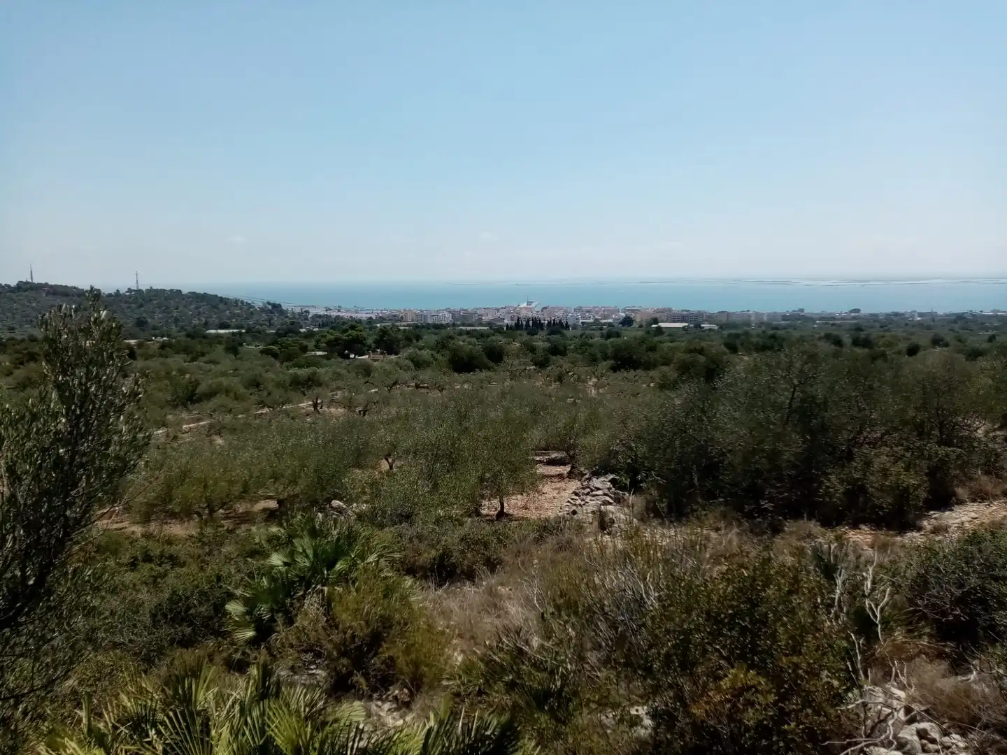 Rustikales Grundstück zum Verkauf in Vial Camino, imagen 2