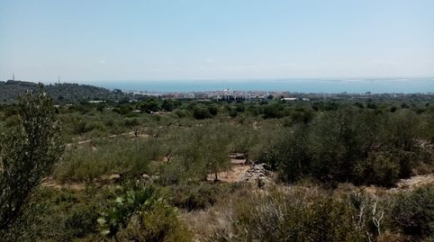 Imatge 2 de l'anunci