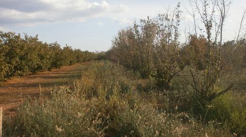 Foto 2 de Terreny en venda a El Rourell, Tarragona