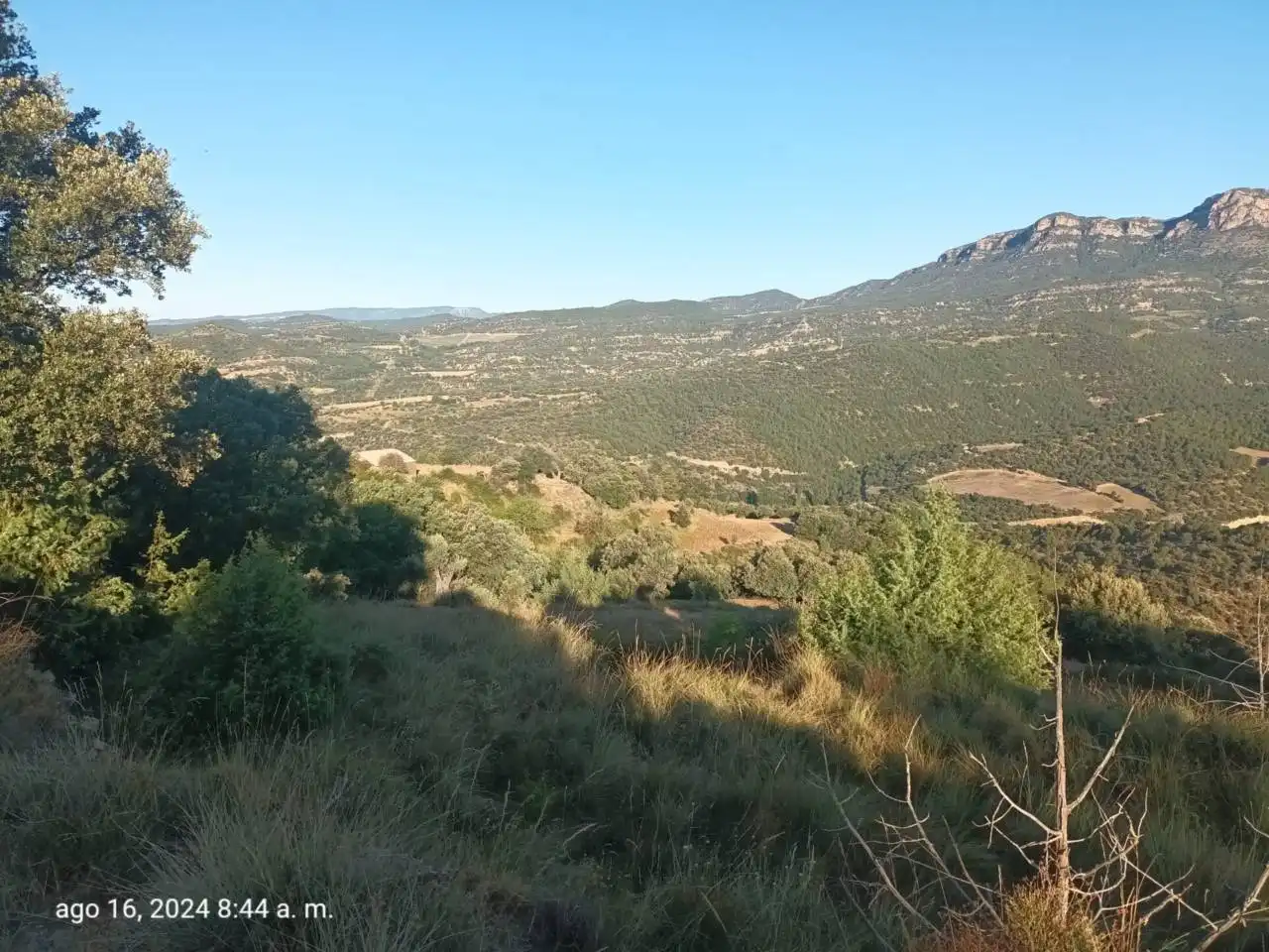 Land for sale in Isábena