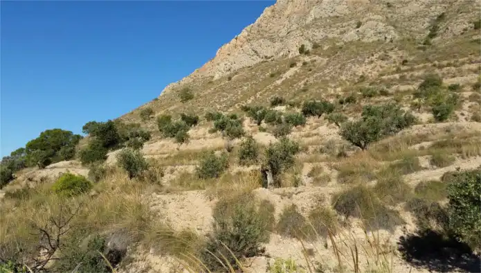 Lands and plots for sale in Pje Herrada del Chícamo, imagen 8
