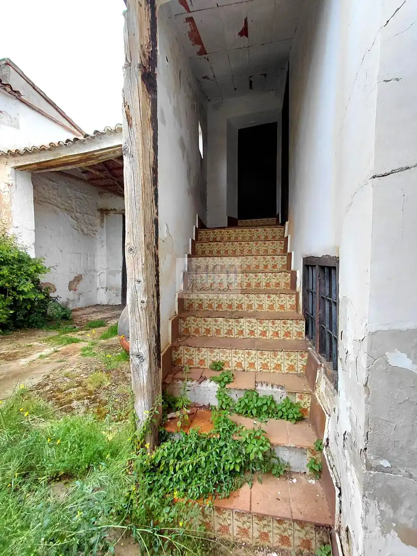 Casa amb terrassa en venda a MAYOR, imagen 29