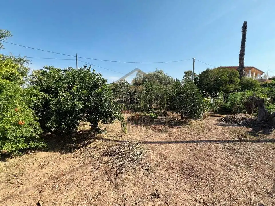 Casa o xalet en venda en Castellón de la Plana / Castelló de la Plana amb Traster