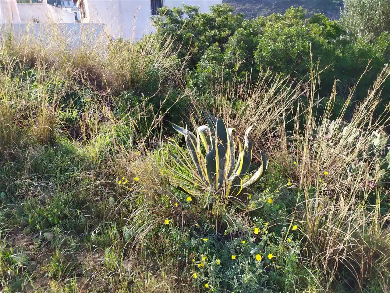 Terreno residencial en venta en Avenida Monte Pego-Benimeli 20, imagen 5