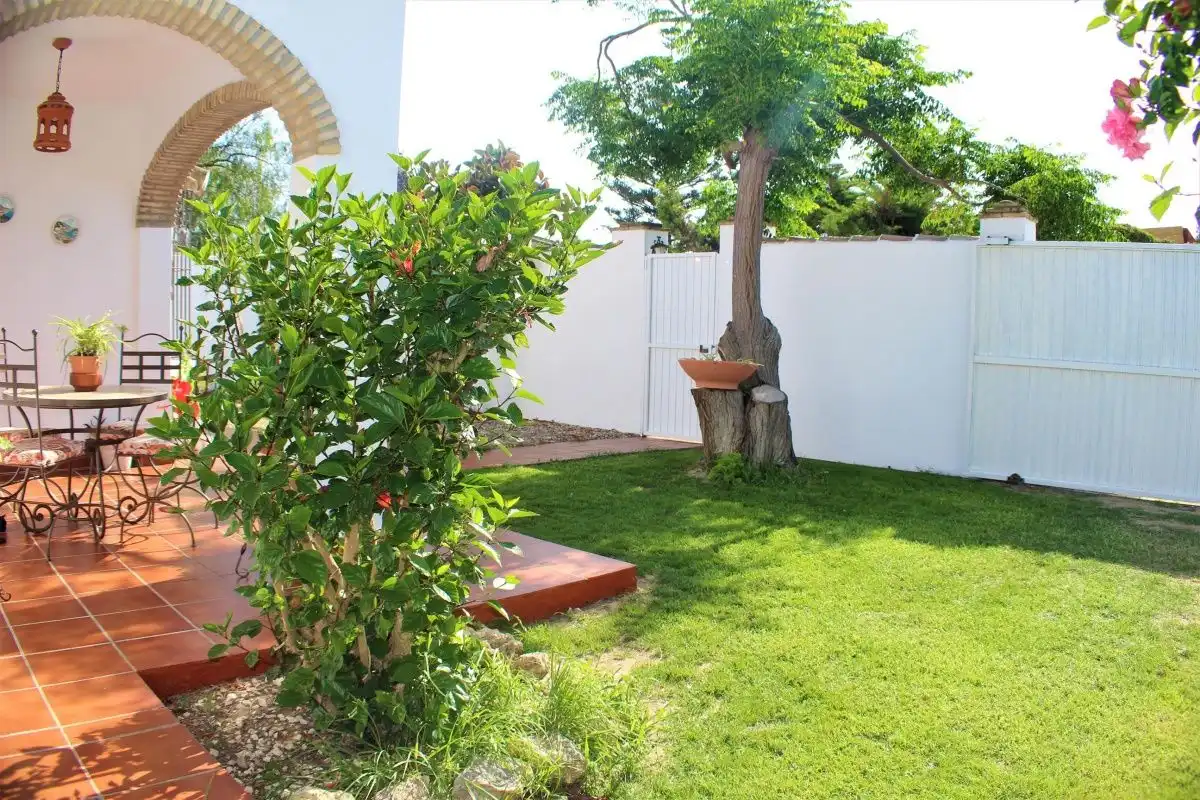 Jardí de Casa o xalet de lloguer en Chiclana de la Frontera amb Jardí privat, Terrassa i Piscina