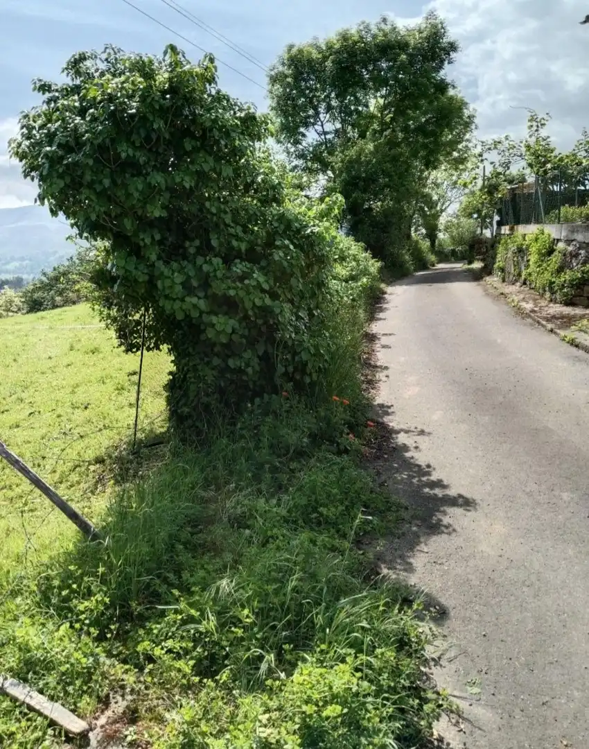 Grundstücke und Bauplätze zum Verkauf in Piloña, imagen 3