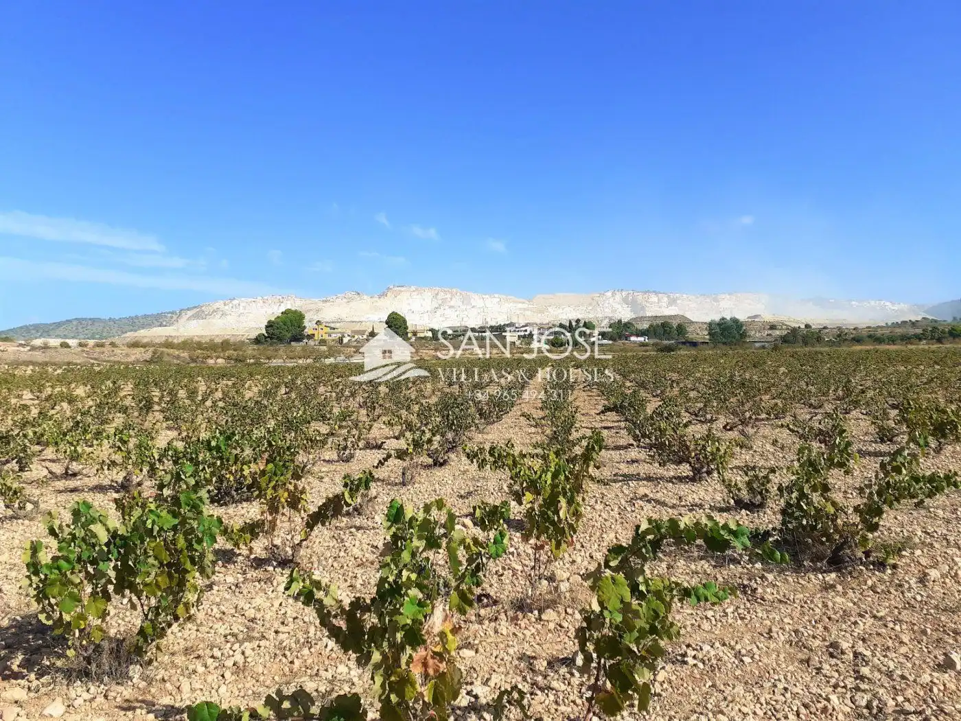Lands and plots for sale in Algueña, imagen 2