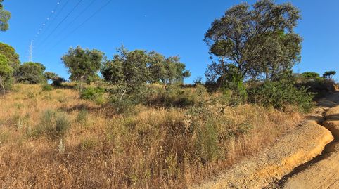 Foto 5 de Terreno en venta en Villablanca, Huelva