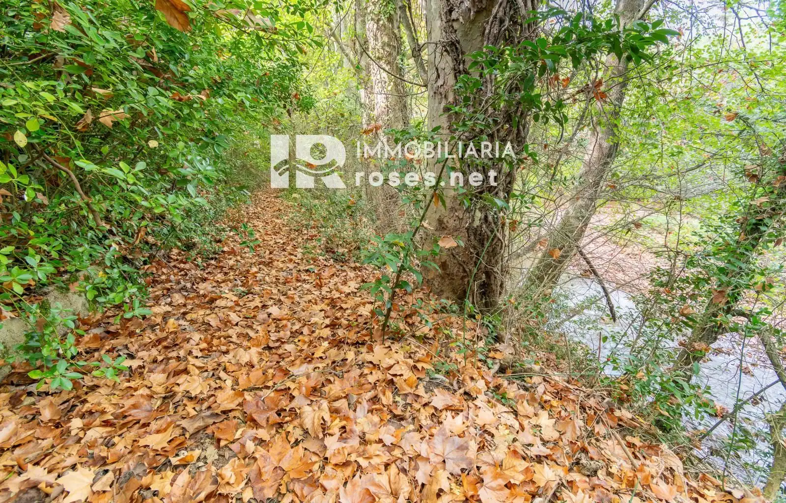 Maison avec jardin à vendre à DE LA RESCLOSA, imagen 51