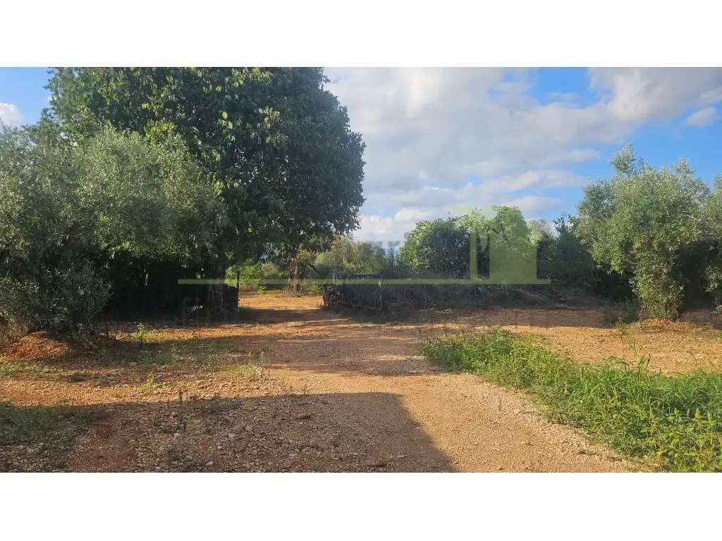Maison rustique avec terrasse à vendre à Ulldecona, imagen 33