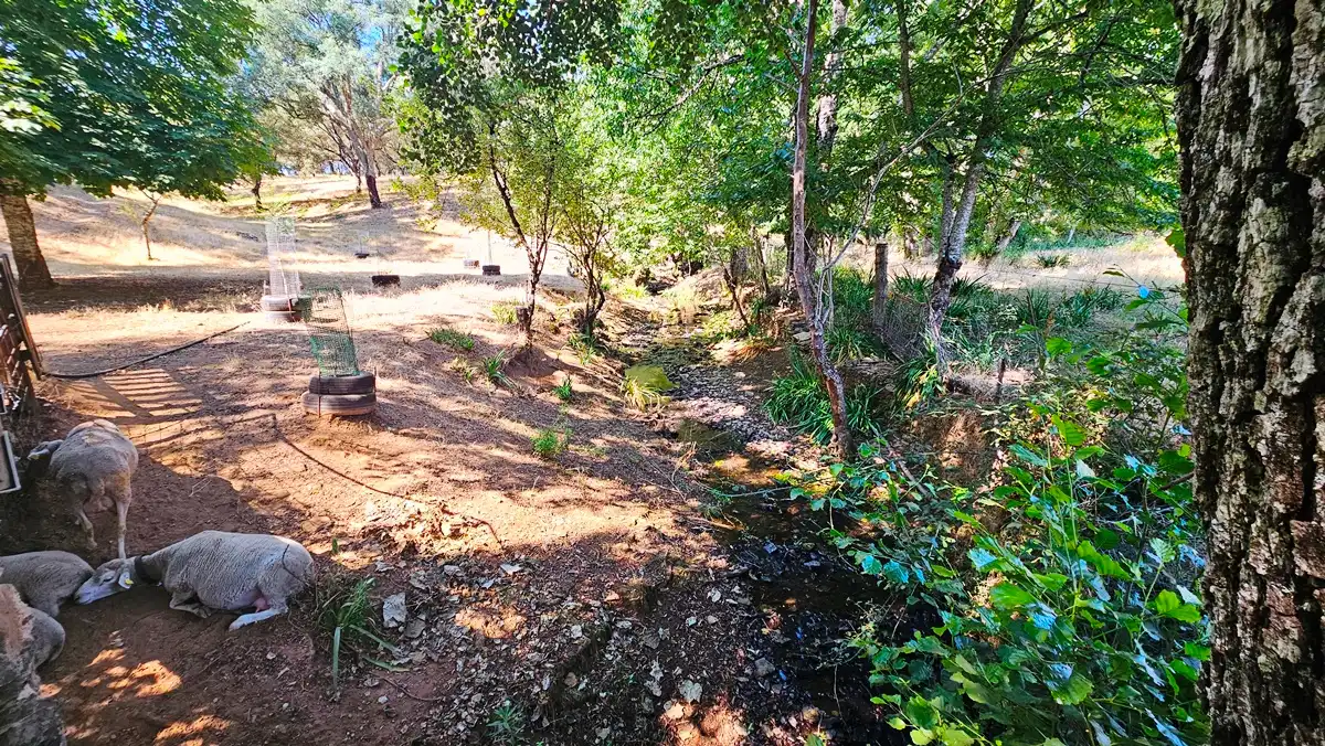 Casa o chalet en venta en Cortelazor con Jardín privado, Terraza y Trastero