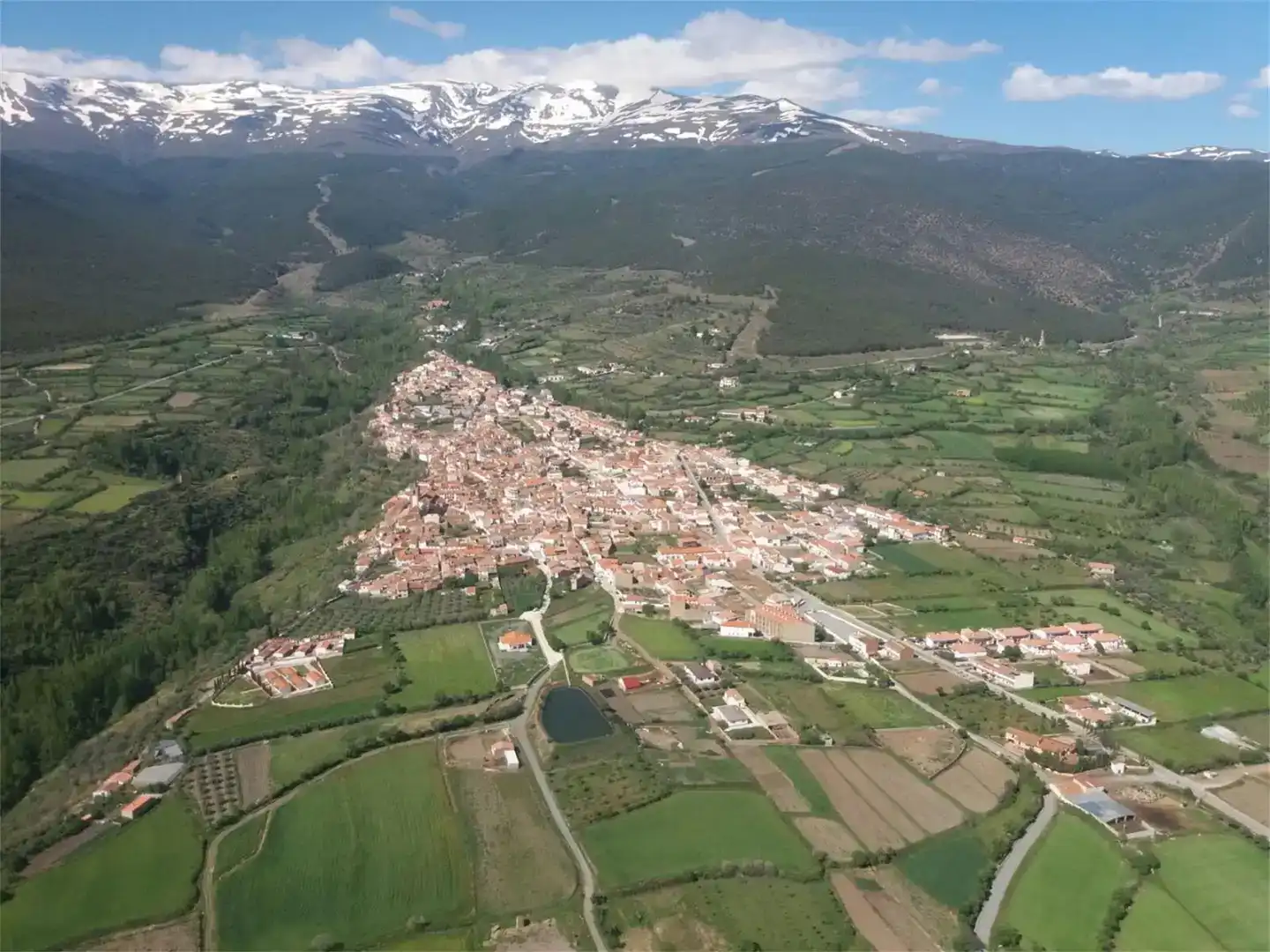 Vista exterior de Terreno en venta en Jérez del Marquesado