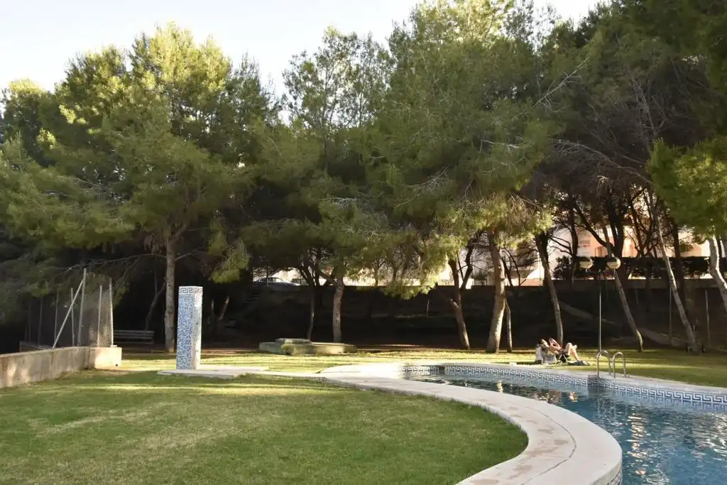Ground floor with terrace for sale in Orihuela Costa, imagen 32
