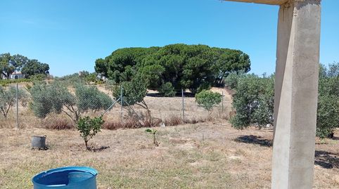Foto 4 de Finca rústica en venta en Villablanca, Huelva