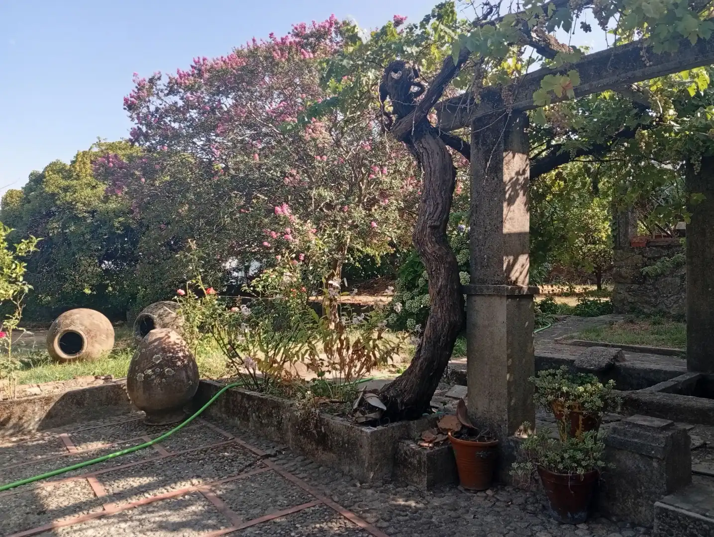 Jardín de Casa o chalet en venta en Villanueva de la Vera con Jardín privado y Trastero
