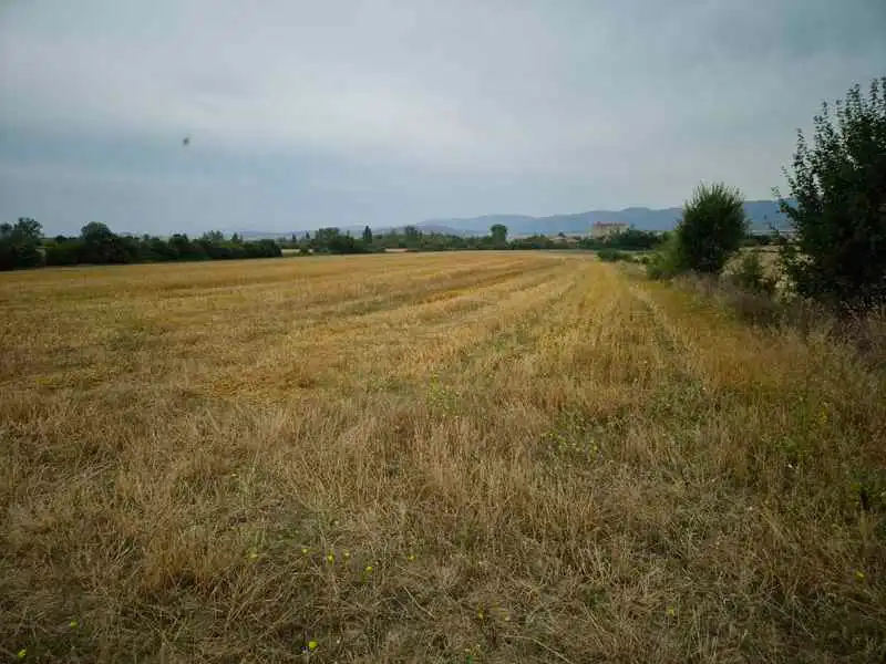 Terreny rústic en venda a San Millán / Donemiliaga