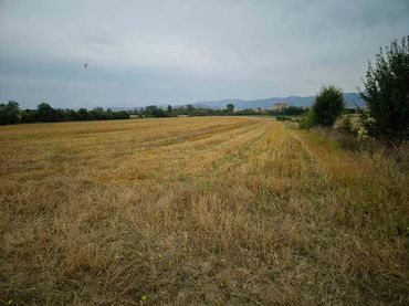 Terreno rustico in vendita a San Millán / Donemiliaga