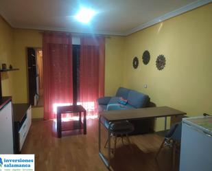 Sala d'estar de Estudi de lloguer en Salamanca Capital amb Calefacció, Moblat i Balcó