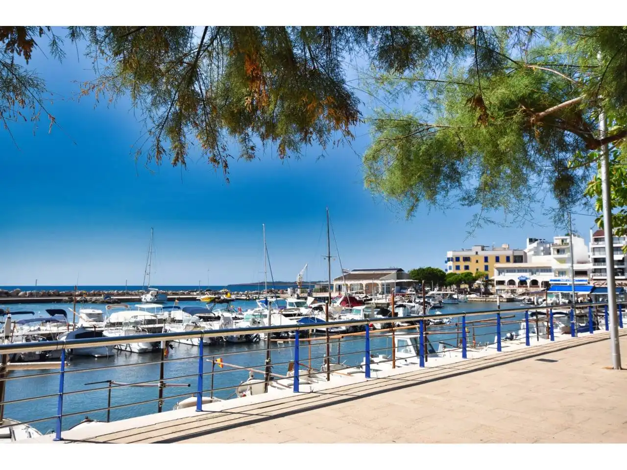 Business premises for sale in Paseo Magdalena Rigo Lliteras 28, imagen 11
