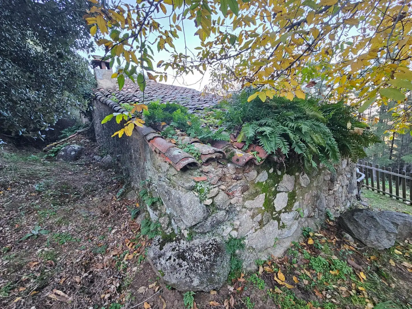 Casa rústica amb jardí en venda a Riells i Viabrea, imagen 45