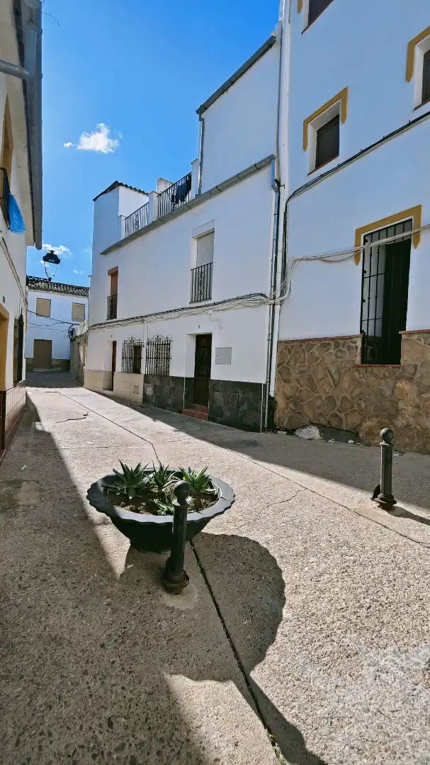 Vista exterior de Casa adosada en venda en Benaoján amb Terrassa