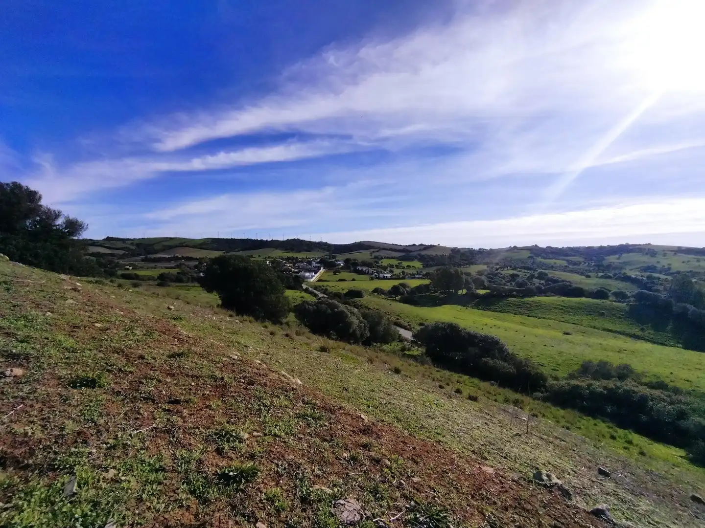 Terreno rustico in vendita a Carretera Arroyo San Ambrosio 385, imagen 13