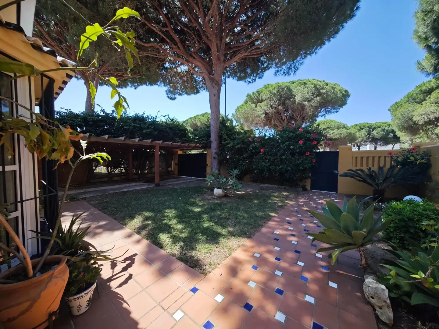 Jardí de Casa o xalet en venda en Chiclana de la Frontera amb Calefacció, Piscina i Moblat