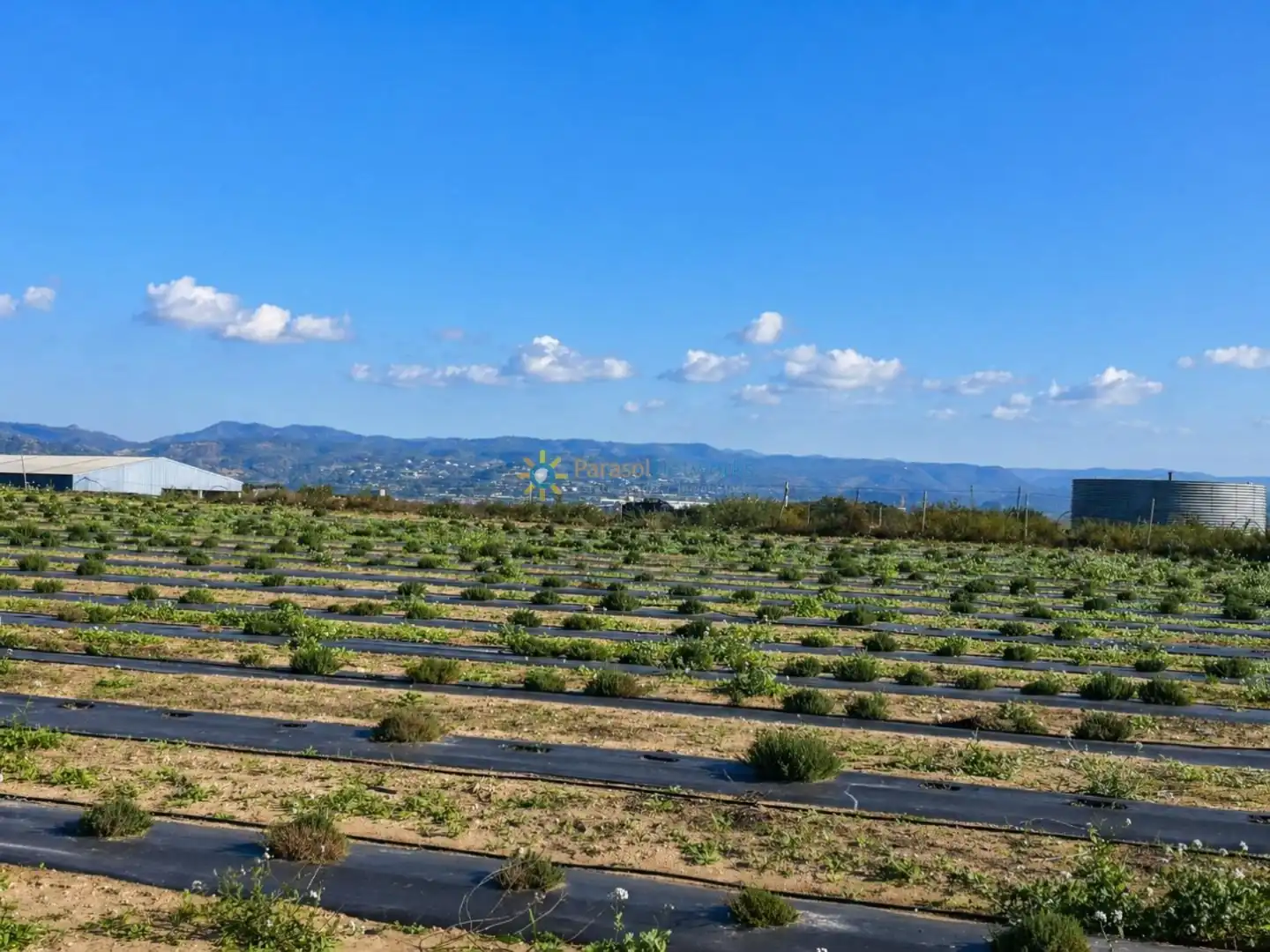 Finca rústica en venta en Benigànim con Terraza y Trastero