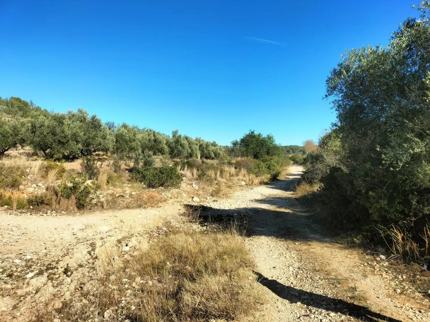 Commercial properties for sale in Navarrés