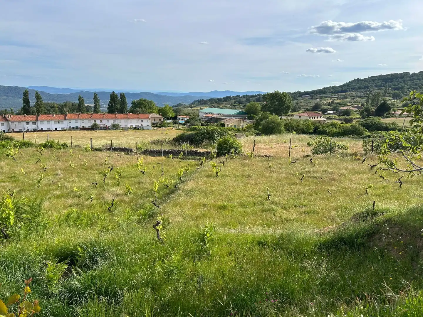 Terreni e lotti in vendita a Villamiel, imagen 2