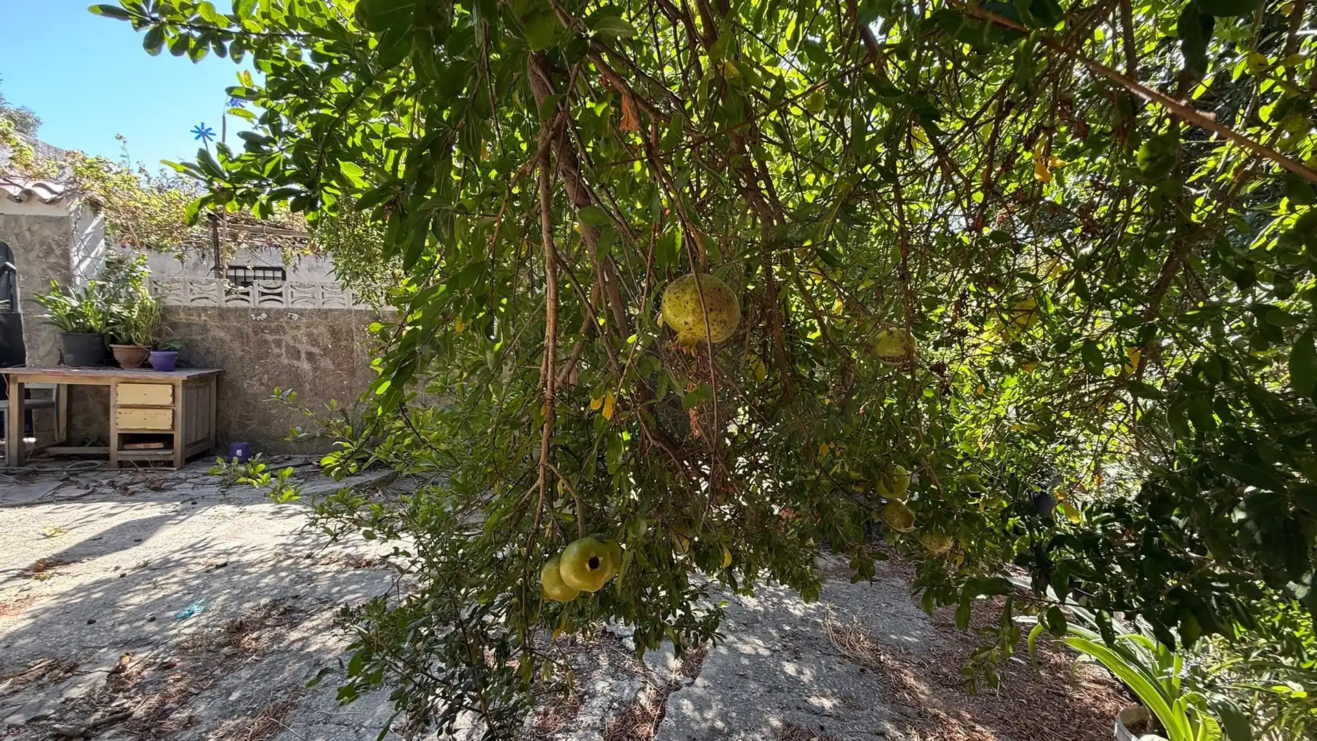 Maison à vendre à Tarifa ciudad, imagen 23