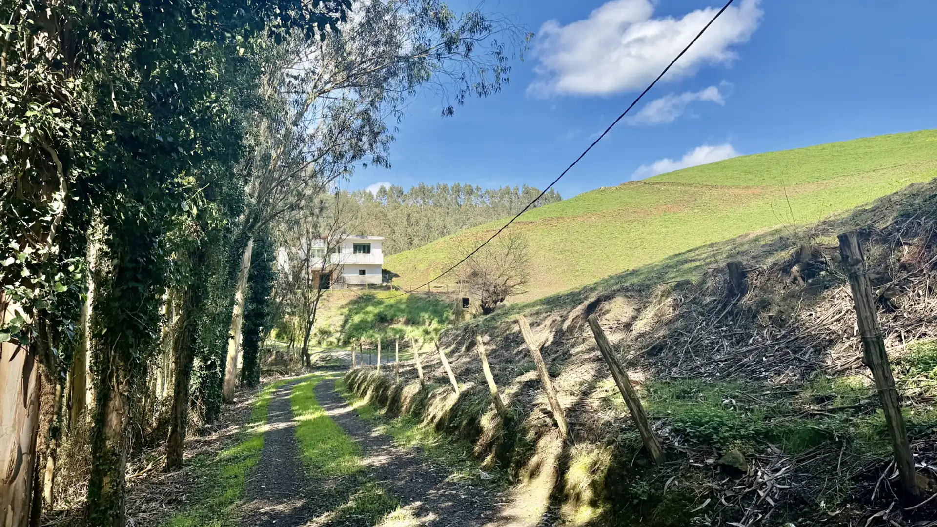 Exterior view of Houses for sale in Hazas de Cesto