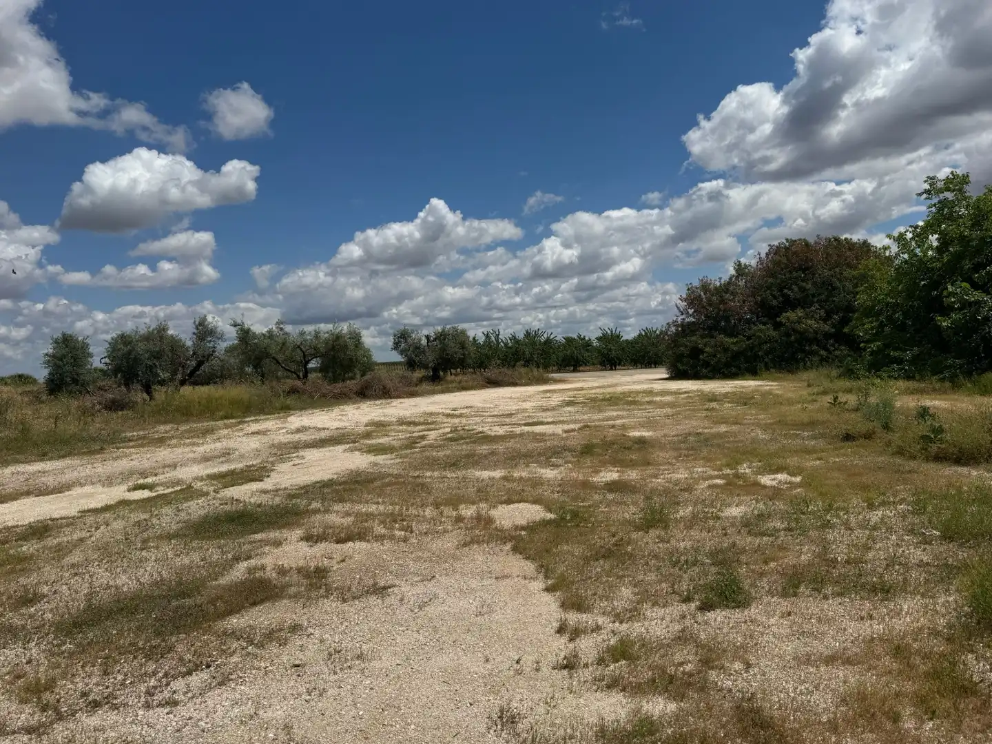 Gebäude zum Verkauf in Marchena mit Gemeinschaftspool