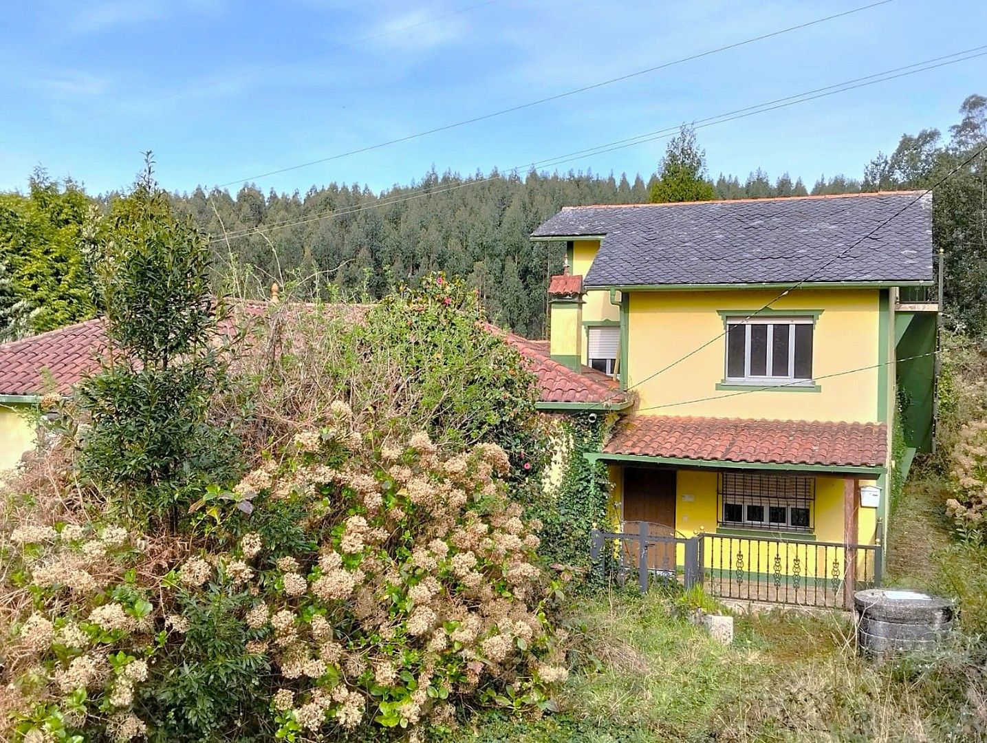 Vista exterior de Casa o xalet en venda en Cerdido amb Jardí privat
