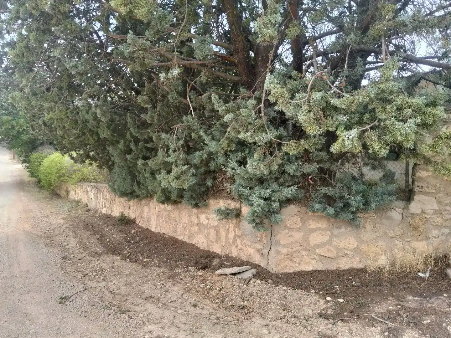 Piso en venta en Villar de Cañas