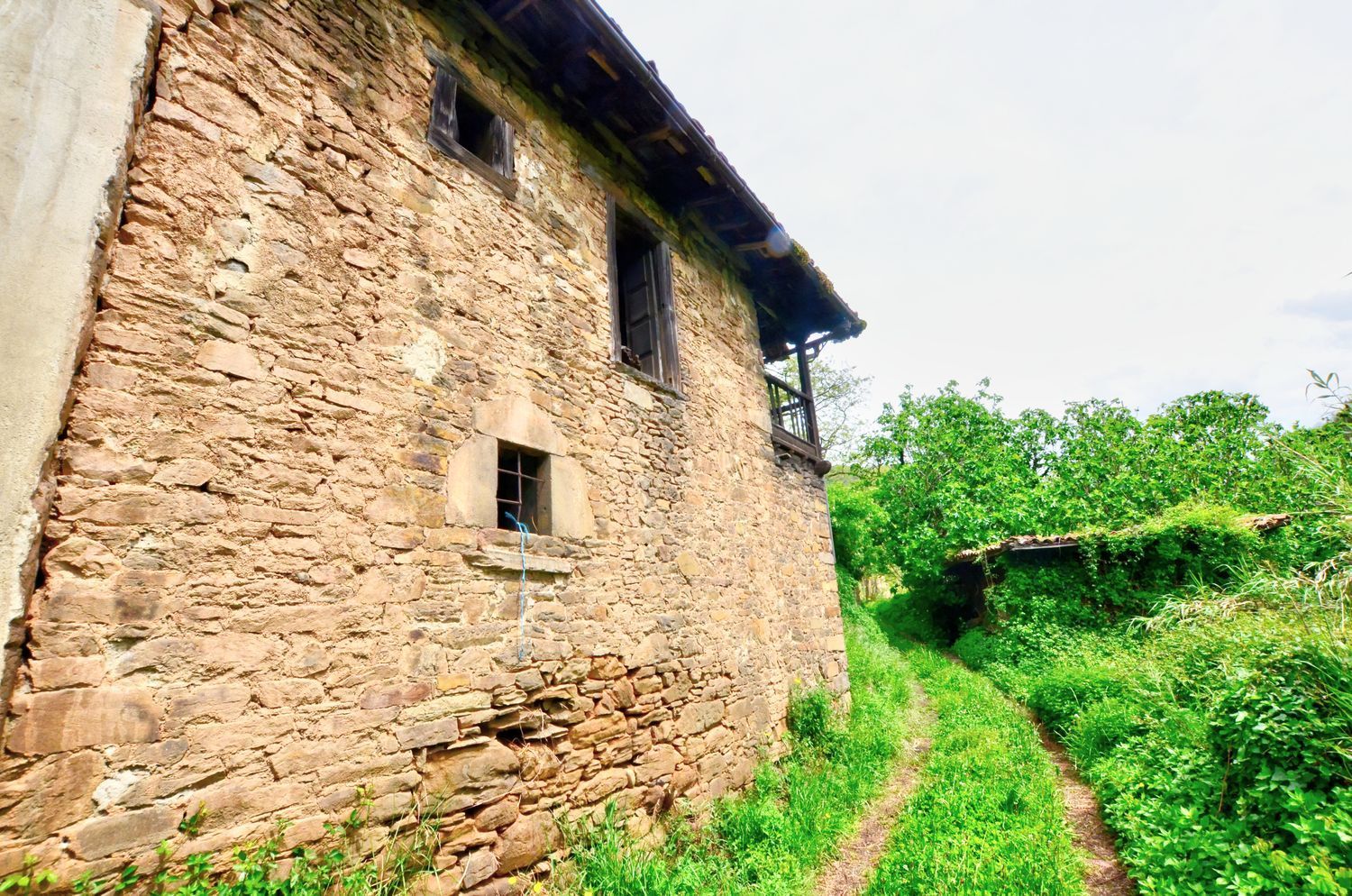 Exterior view of House or chalet for sale in Mieres (Asturias)  with Swimming Pool