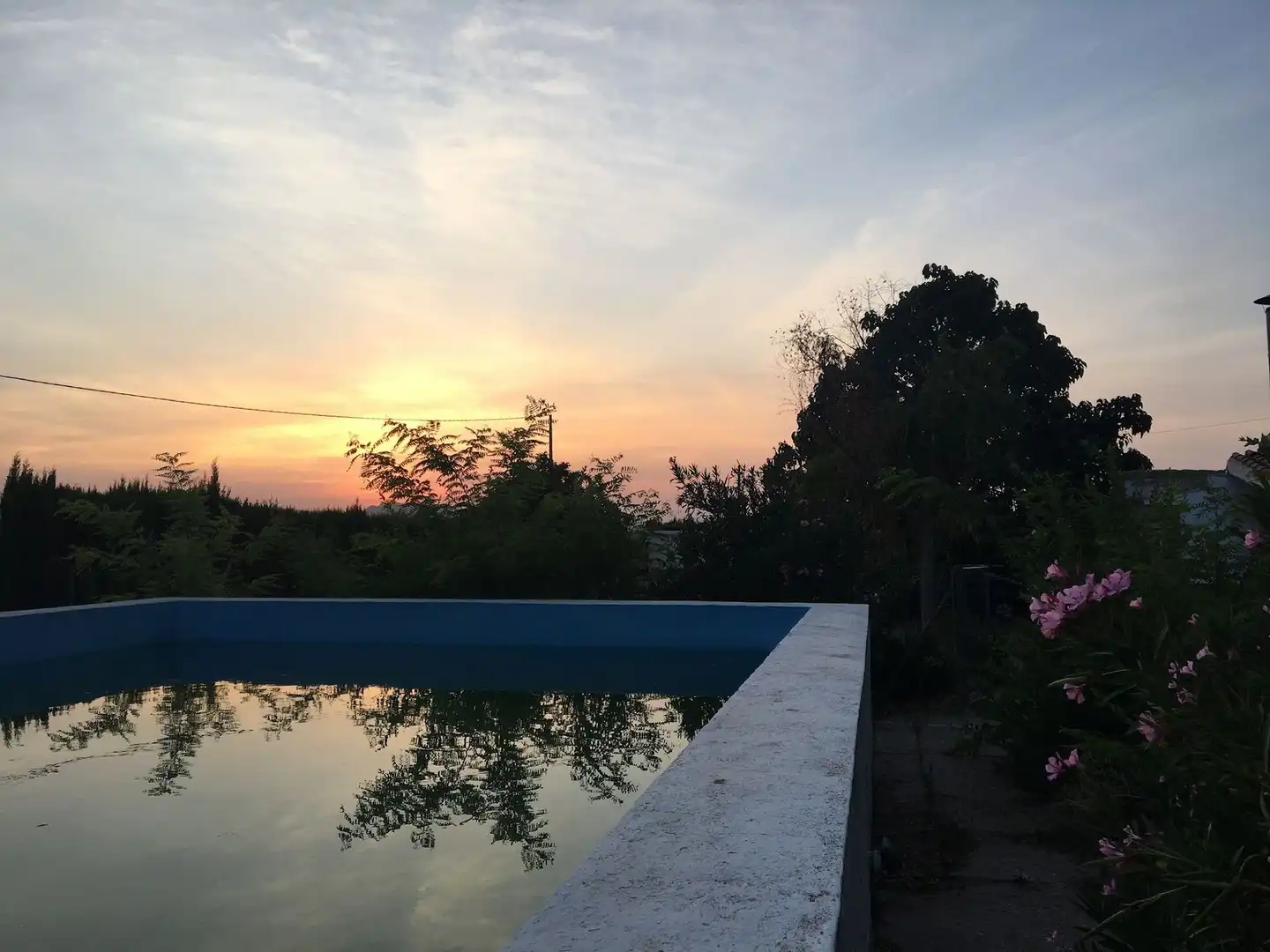 Swimming pool of Houses for sale in Yecla  with Terrace