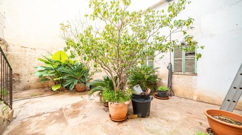 Foto 3 de Planta baixa en venda a Arxiduc,  Palma de Mallorca