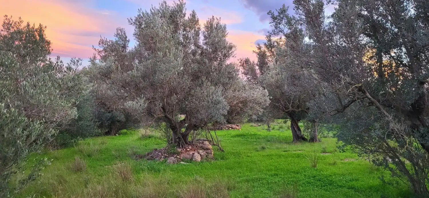 Casa rustica in vendita a Garroferets, imagen 2