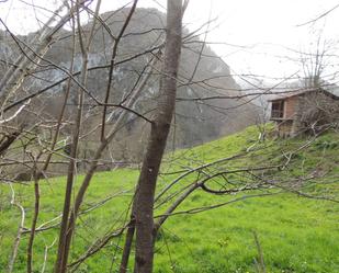 Jardí de Residencial en venda en Laviana